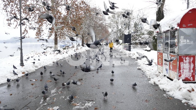 Nove snežne padavine